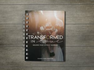 Transformed in Love workbook