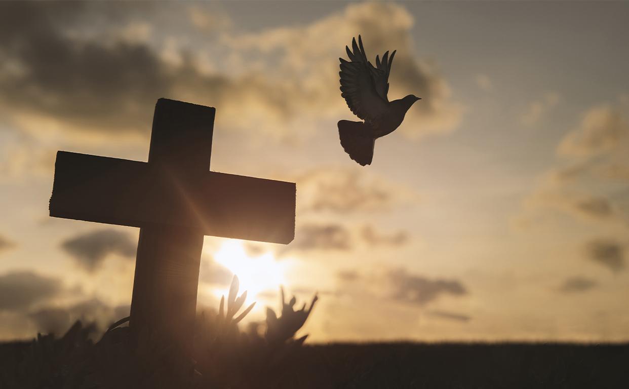 Dove flying past a cross